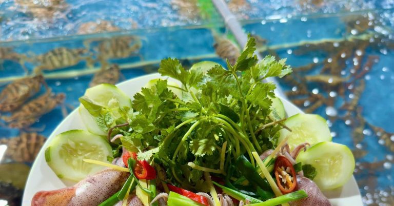 Plate of steamed squid with herbs held above a live seafood tank with lobsters