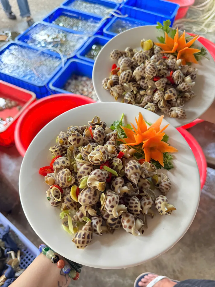 Plates of cooked sea snails held above crates of live shellfish in seawater